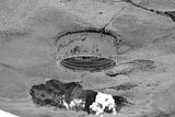 waste deposit_027